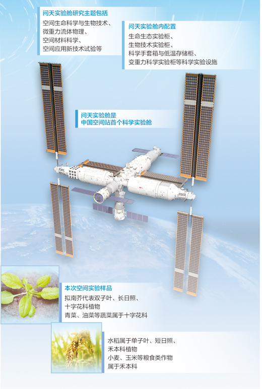 在中国空间站种植物（科技自立自强）(图1)